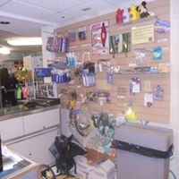 Scuba Sports Store Interior